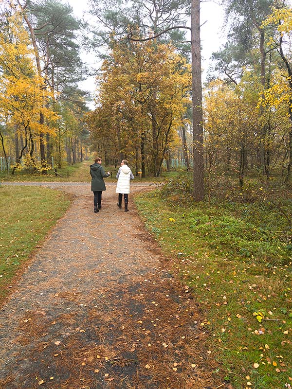 Wandelcoaching: twee vrouwen lopen samen over een bospad in de herfst