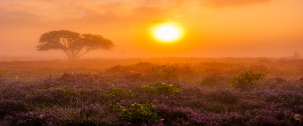 Zonsopkomst boven de heide - frisse energie in de tweede levensfase