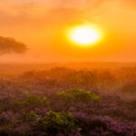 Zonsopkomst boven de heide - frisse energie in de tweede levensfase