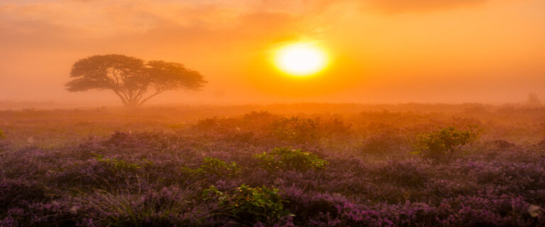 Zonsopkomst boven de heide - frisse energie in de tweede levensfase